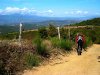 IMG_0979.jpg