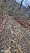 IMG_20220219_153541.jpg