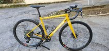 Santa Cruz Stigmata CC, 54 del 2020