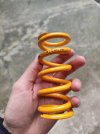 Molle Ohlins e cane creek