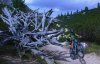 dolomiti paolo.jpg