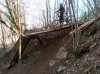DSC00150.jpg