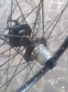 IMG_20220128_161303.jpg