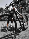 Scott Spark 950