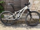 Stumpjumper carbonio marzo 2020