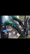 Specialized turbo levo sl Comp Carbon