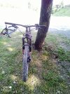 IMG_20220510_172701_230.jpg