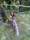 IMG_20220510_172648_517.jpg