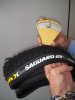Saguaro 29 con ShA 001.jpg