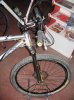 muletto 004.jpg
