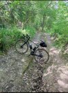 IMG_20220525_144716.jpg