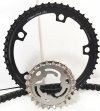 Carbon Gates CDX corona pignone e cinghia dentata