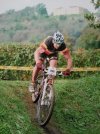 gimondi bike.jpg