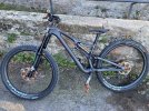 Stumpjumper Evo Pro 29
