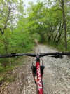IMG_20220503_122733.jpg