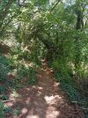 20220626_102408.jpg