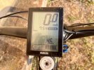 ebike4.jpeg