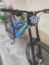 Pivot Phoenix  2019 Dh Taglia L