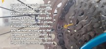 20220726_175554-1.jpg