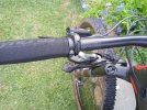 IMG_20220811_075022_1.jpg