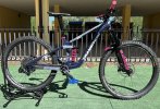 Transition Patrol Gx Alloy