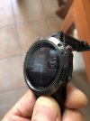 fenix_IMG_6731.jpg