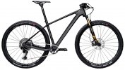 Radon Jealous 9.0 Hardtail, 9 kg