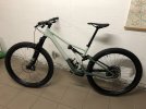Stumpjumper Expert Carbon 2021