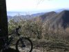 DSCN0438.jpg