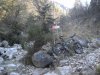 DSCN0445.jpg