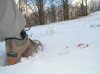 DSCN2221neve.JPG