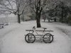 DSCN6078.jpg