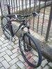 Niner 002.jpg