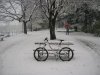 DSCN6077.jpg