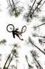 dirt_jump2_by_sure80.jpg