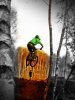 mtb-forum.jpg