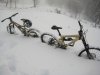 IMG_2027low.jpg