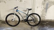 Vendo Torpado Ribot carbon 29"