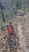 IMG_20220122_102340.jpg