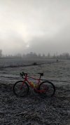IMG_20220122_084557.jpg