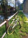 IMG_20221008_105047_624.jpg