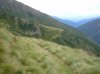 DSCF3244.jpg