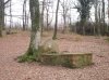 100_0098.jpg