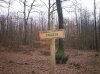 100_0097.jpg