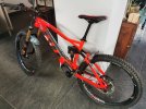 Ebike rotwild