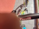 IMG_20220922_113657.jpg