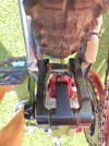 IMG_20220922_113753.jpg