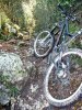 P1000269md.jpg