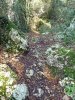 P1000271md.jpg