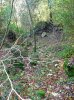 P1000273md.jpg